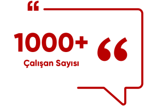 calisansayisi